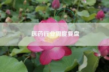 医药行业周度复盘