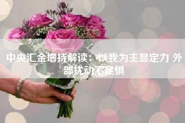 中央汇金增持解读：以我为主显定力 外部扰动不足惧