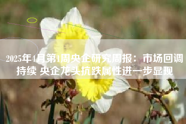 2025年4月第1周央企研究周报：市场回调持续 央企龙头抗跌属性进一步显现