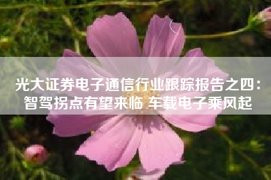 光大证券电子通信行业跟踪报告之四：智驾拐点有望来临 车载电子乘风起