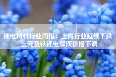 锂电材料行业周报：上周行业延续下跌 三元及铁锂电解液价格下调
