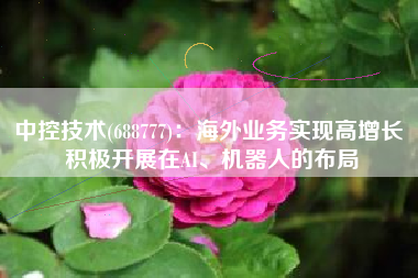 中控技术(688777)：海外业务实现高增长 积极开展在AI、机器人的布局