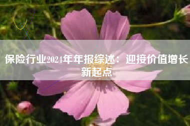 保险行业2024年年报综述：迎接价值增长新起点