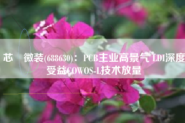 芯碁微装(688630)：PCB主业高景气 LDI深度受益COWOS-L技术放量