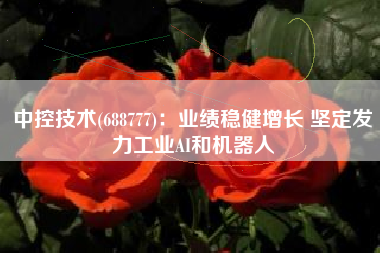 中控技术(688777)：业绩稳健增长 坚定发力工业AI和机器人