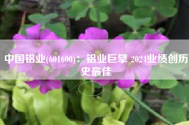 中国铝业(601600)：铝业巨擘 2024业绩创历史最佳