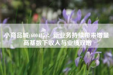 小商品城(600415)：新业务持续带来增量 高基数下收入与业绩双增