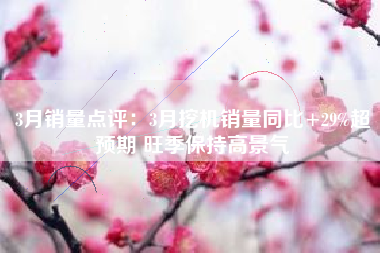 3月销量点评：3月挖机销量同比+29%超预期 旺季保持高景气