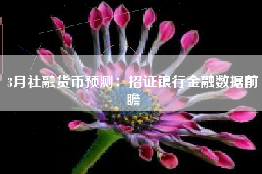 3月社融货币预测：招证银行金融数据前瞻