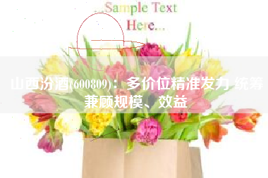 山西汾酒(600809)：多价位精准发力 统筹兼顾规模、效益