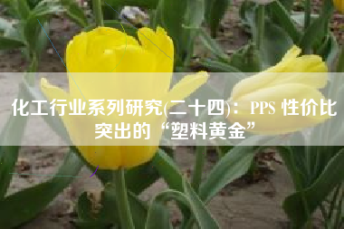 化工行业系列研究(二十四)：PPS 性价比突出的“塑料黄金”