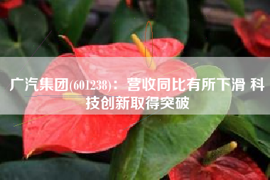 广汽集团(601238)：营收同比有所下滑 科技创新取得突破