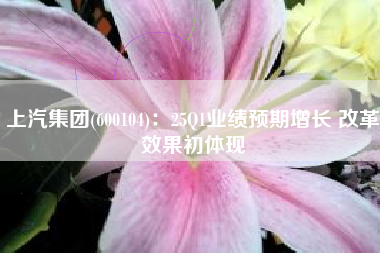 上汽集团(600104)：25Q1业绩预期增长 改革效果初体现