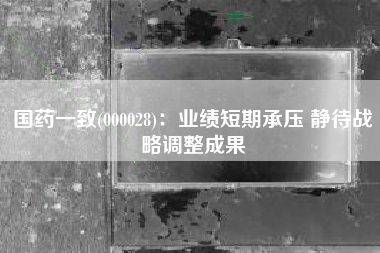 国药一致(000028)：业绩短期承压 静待战略调整成果