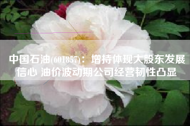 中国石油(601857)：增持体现大股东发展信心 油价波动期公司经营韧性凸显