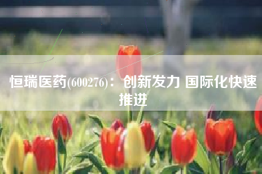 恒瑞医药(600276)：创新发力 国际化快速推进