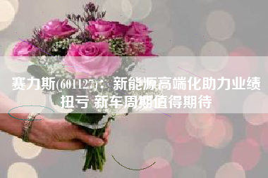 赛力斯(601127)：新能源高端化助力业绩扭亏 新车周期值得期待