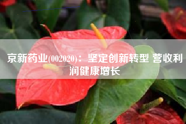 京新药业(002020)：坚定创新转型 营收利润健康增长