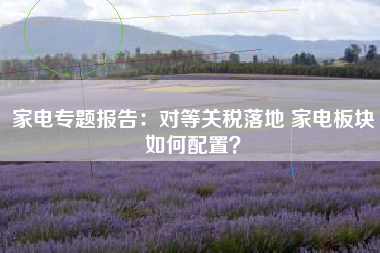 家电专题报告：对等关税落地 家电板块如何配置？