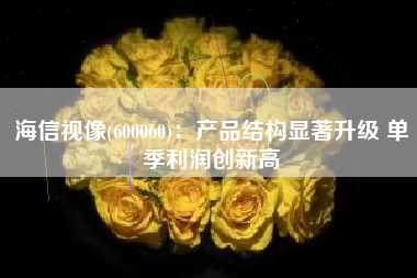 海信视像(600060)：产品结构显著升级 单季利润创新高