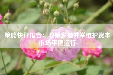 策略快评报告：政策多措并举维护资本市场平稳运行