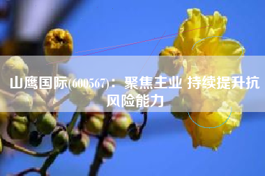 山鹰国际(600567)：聚焦主业 持续提升抗风险能力