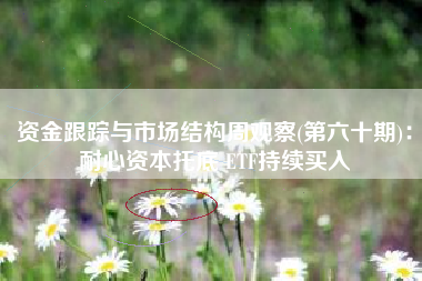 资金跟踪与市场结构周观察(第六十期)：耐心资本托底 ETF持续买入