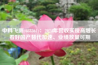 中科飞测(688361)：2024年营收实现高增长 看好国产替代加速、业绩放量可期