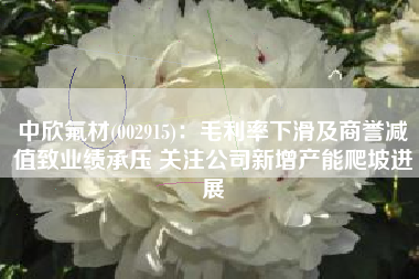 中欣氟材(002915)：毛利率下滑及商誉减值致业绩承压 关注公司新增产能爬坡进展