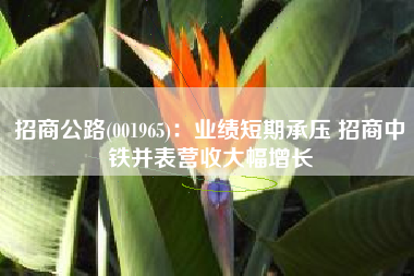 招商公路(001965)：业绩短期承压 招商中铁并表营收大幅增长