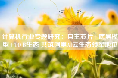 计算机行业专题研究：自主芯片+底层模型+TO B生态 共筑阿里AI云生态领军地位