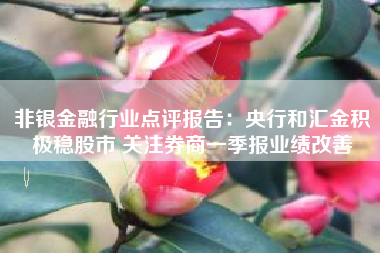 非银金融行业点评报告：央行和汇金积极稳股市 关注券商一季报业绩改善