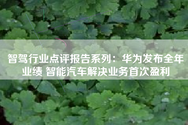 智驾行业点评报告系列：华为发布全年业绩 智能汽车解决业务首次盈利