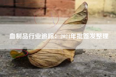 血制品行业追踪：2024年批签发整理