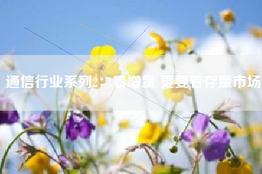 通信行业系列2：看增量 更要看存量市场