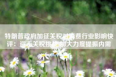 特朗普政府加征关税对消费行业影响快评：迎击关税挑战 加大力度提振内需