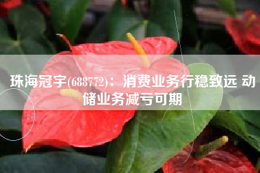 珠海冠宇(688772)：消费业务行稳致远 动储业务减亏可期