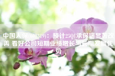 中国人保(601319)：预计25Q1承保端显著改善 看好公司短期业绩增长与长期发展优势