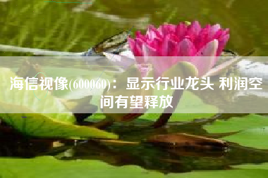 海信视像(600060)：显示行业龙头 利润空间有望释放