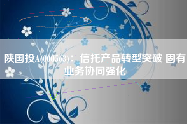 陕国投A(000563)：信托产品转型突破 固有业务协同强化