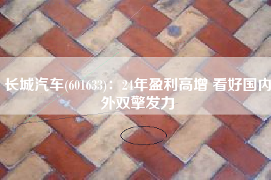 长城汽车(601633)：24年盈利高增 看好国内外双擎发力