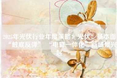 2025年光伏行业年度策略：光伏：基本面“触底反弹” “电算一体化”新场景兴起