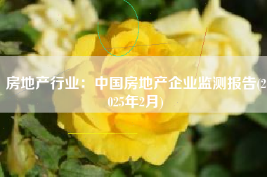 房地产行业：中国房地产企业监测报告(2025年2月)