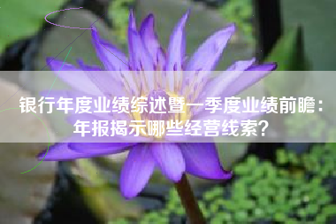 银行年度业绩综述暨一季度业绩前瞻：年报揭示哪些经营线索？