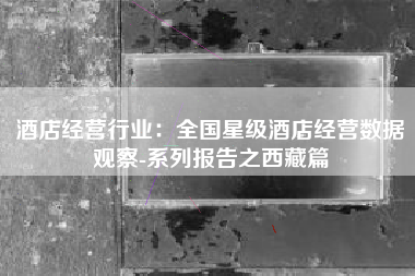 酒店经营行业：全国星级酒店经营数据观察-系列报告之西藏篇