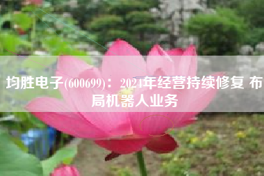 均胜电子(600699)：2024年经营持续修复 布局机器人业务
