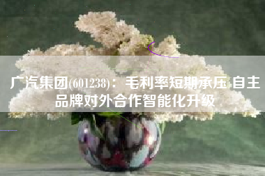 广汽集团(601238)：毛利率短期承压 自主品牌对外合作智能化升级