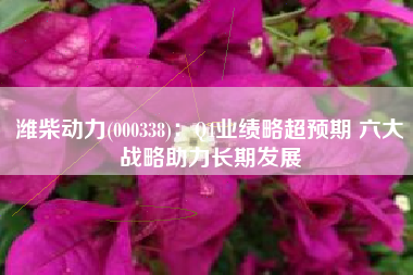 潍柴动力(000338)：Q4业绩略超预期 六大战略助力长期发展