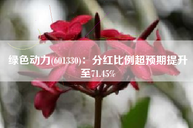绿色动力(601330)：分红比例超预期提升至71.45%