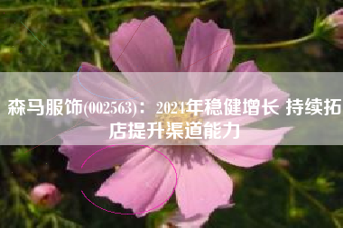 森马服饰(002563)：2024年稳健增长 持续拓店提升渠道能力